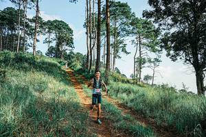 BIB: 
                            <button type="button" onclick="openModal(25672293)" class="btn btn-primary btn-sm float-right btn-popup" data-toggle="modal" data-target=".modal-high-quality">
                        <i class="fas fa-shopping-cart"></i> Add to Cart
                    </button>
                                            <button type="button" onclick="isThisMe(25672293, true)" class="btn btn-success btn-sm float-right btn-popup btn-isme hidden" data-toggle="tooltip" data-placement="bottom" title="นี่คือรูปของคุณใช่ไหม คลิกที่นี่เพื่อเอาเข้าอัลบั้ม">
                        <i class="fas fa-plus"></i> Add to album
                    </button>
                    <button type="button" onclick="isThisMe(25672293, false)" class="btn btn-warning btn-sm float-right btn-popup btn-isnotme hidden">
                        <i class="fas fa-ban"></i> Remove from album
                    </button>